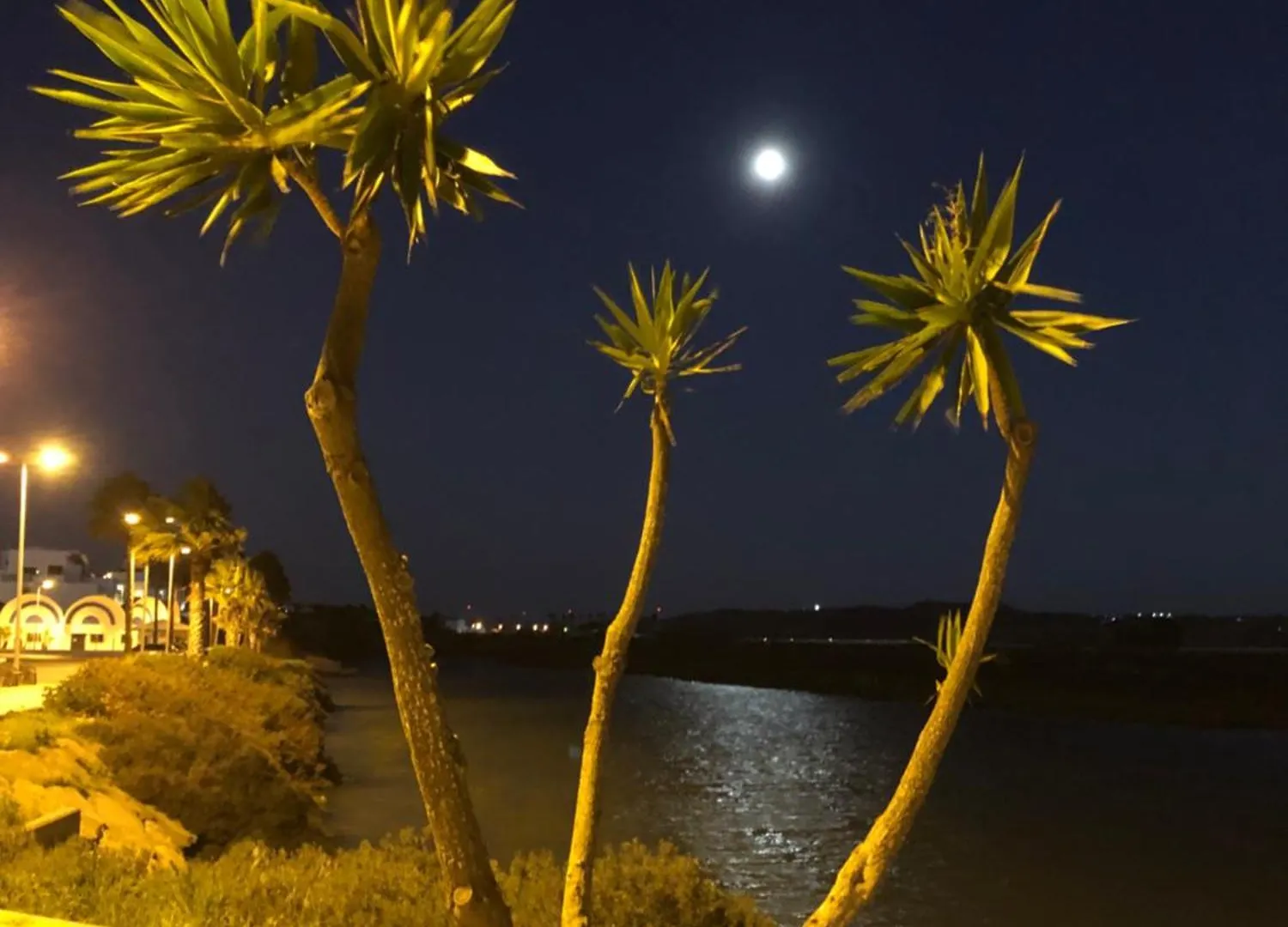 Tu Casa De La Playa Villa Conil De La Frontera Holiday home